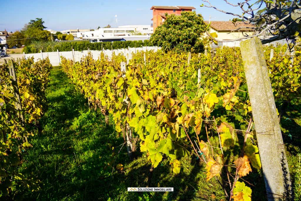 Terreno agricolo in via dei Tulipani Albano Laziale